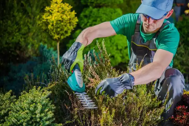 landscaping services McDonald